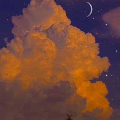 蟹狀星雲起源的新見解