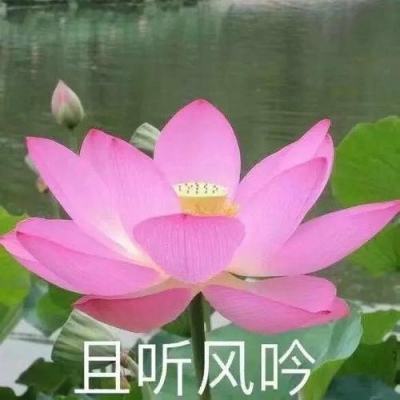 南京农业大学原党委书记陈利根接受纪律审查和监察调查